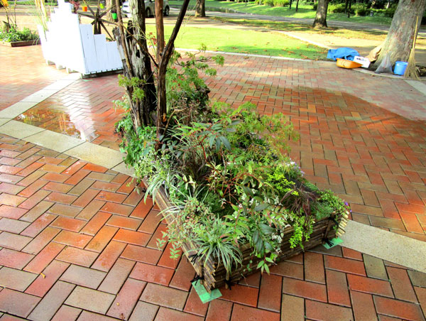 コンテスト作品 使用植物
